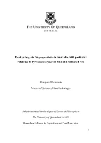 S43021927 Phd Thesis.Pdf