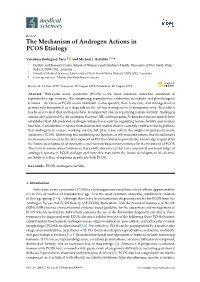 The Mechanism of Androgen Actions in PCOS Etiology