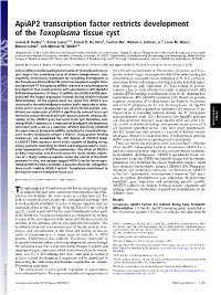 Apiap2 Transcription Factor Restricts Development of the Toxoplasma Tissue Cyst