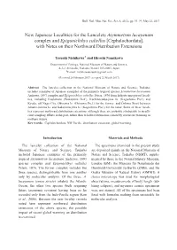 Cephalochordata], with Notes on Their Northward Distribution Extensions