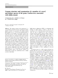 Genome Structure and Organization of a Member of a Novel and Distinct Species of the Genus Caulimovirus Associated with Dahlia Mosaic