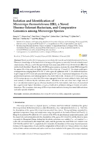 Isolation and Identification of Microvirga Thermotolerans HR1, A
