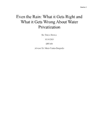 Even the Rain: What It Gets Right and What It Gets Wrong About Water Privatization