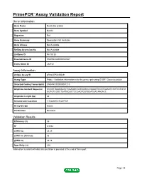 Primepcr™Assay Validation Report