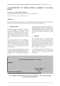 An Examination of Vehicle Fires According to Scaling Rules