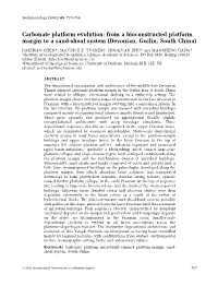 Carbonate Platform Evolution: from a Bioconstructed Platform Margin to a Sand-Shoal System (Devonian, Guilin, South China)