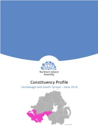Constituency Profile Fermanagh and South Tyrone – June 2016