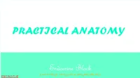 Endocrine Block اي كالم باللون الذهبي مأخوذ من التيم وورك فايل )الي يقال انه اكسترا( EDITING FLIE Anatomy of Pituitary Gland