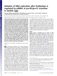 Initiation of DNA Replication After Fertilization Is Regulated by P90rsk at Pre-RC/Pre-IC Transition in Starﬁsh Eggs