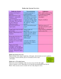 Endocrine System Overview