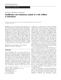 Identification and Evolutionary Analysis of a Relic S-Rnase in Antirrhinum