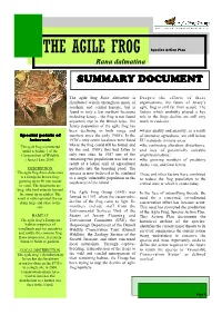 THE AGILE FROG Species Action Plan Rana Dalmatina SUMMARSUMMARSUMMARYYY DOCUMENT