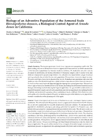 Biology of an Adventive Population of the Armored Scale Rhizaspidiotus Donacis, a Biological Control Agent of Arundo Donax in California