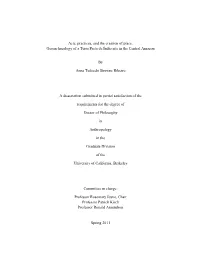 Geoarchaeology of a Terra Preta De Índio Site in the Central Amazon By