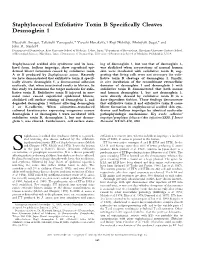Staphylococcal Exfoliative Toxin B Specifically Cleaves Desmoglein 1