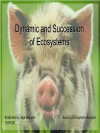 Dynamic and Succession of Ecosystems
