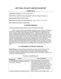 Final Project Report English Pdf 65.44 KB