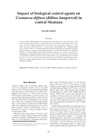 Impact of Biological Control Agents on Centaurea Diffusa (Diffuse Knapweed) in Central Montana