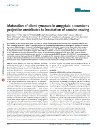 Maturation of Silent Synapses in Amygdala-Accumbens Projection Contributes to Incubation of Cocaine Craving
