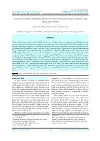 (Nephelium Ramboutan-Ake) Genetic Diversity in Bogor, West Java, Using Microsatellite Markers