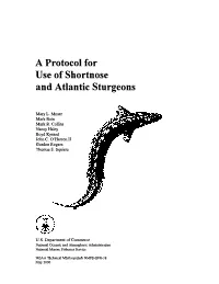 A Protocol for Use of Shortnose and Atlantic Sturgeons