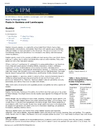 Dodder Management Guidelines--UC IPM