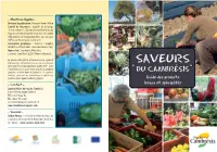Mise En Page 1