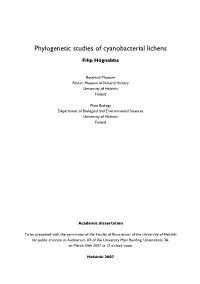 Phylogenetic Studies of Cyanobacterial Lichens