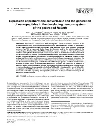 Full Text (PDF)