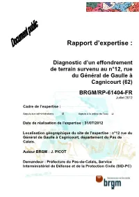 Rapport D'expertise