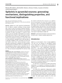 Spikelets in Pyramidal Neurons
