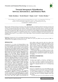Towards Intergeneric Hybridization Between Alstroemeria L. and Bomarea Mirb