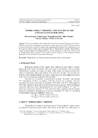 "Borska Reka" Orebody, the Future of the Exploitation in Bor Mine