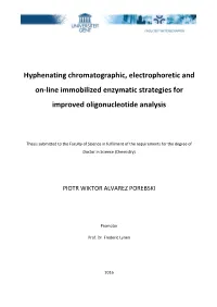 Hyphenating Chromatographic, Electrophoretic and On-Line Immobilized Enzymatic Strategies for Improved Oligonucleotide Analysis