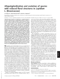 Allopolyploidization and Evolution of Species with Reduced Floral Structures in Lepidium L