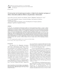 Chromosomal and Morphological Studies of Diploid and Polyploid Cytotypes of Stevia Rebaudiana (Bertoni) Bertoni (Eupatorieae, Asteraceae)