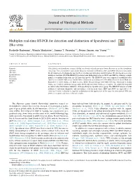 Journal of Virological Methods Multiplex Real-Time RT-PCR For