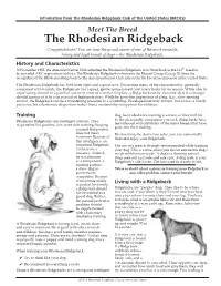 The Rhodesian Ridgeback
