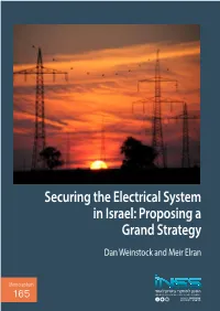 Securing the Electrical System in Israel: Proposing a Grand Strategy Dan Weinstock and Meir Elran