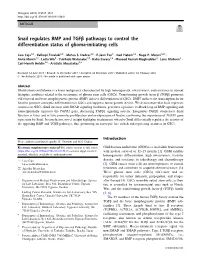 Snail Regulates BMP and Tgfβ Pathways to Control the Differentiation Status of Glioma-Initiating Cells