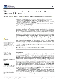 A Modelling Approach for the Assessment of Wave-Currents Interaction in the Black Sea