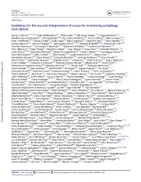 Guidelines for the Use and Interpretation of Assays for Monitoring Autophagy (3Rd Edition)