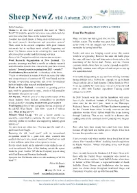 Sheep Newz #14 Autumn 2019