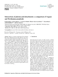 A Comparison of Aegean and Tyrrhenian Granitoids