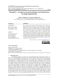 An Improved Grain Localization and Classification by Image Augmentation
