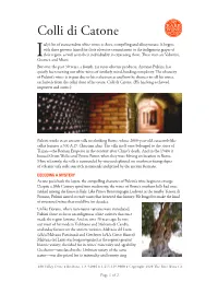 Colli Di Catone Taly’S List of Transcendent White Wines Is Short, Compelling and Idiosyncratic