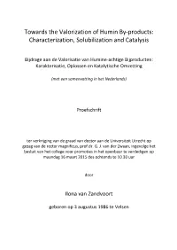 Towards the Valorization of Humin By-Products: Characterization, Solubilization and Catalysis