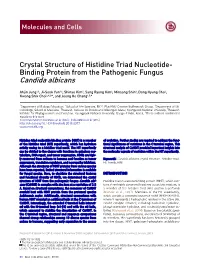 Crystal Structure of Histidine Triad Nucleotide- Binding Protein from the Pathogenic Fungus Candida Albicans