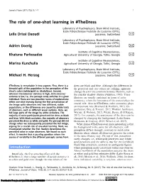 The Role of One-Shot Learning in #Thedress