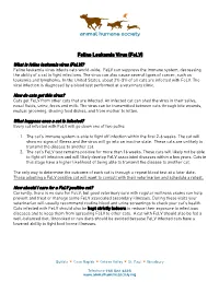 Feline Leukemia Virus (Felv)